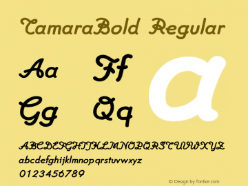 TamaraBold W05 Regular Version 4.10 Font Sample