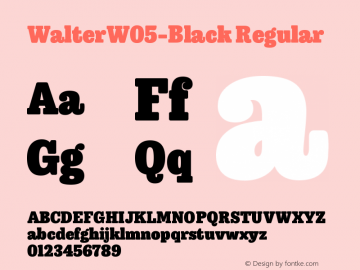 Walter W05 Black Version 1.001图片样张