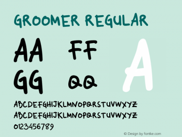 Groomer Version 1.00;January 11, 2021;FontCreator 12.0.0.2546 64-bit图片样张