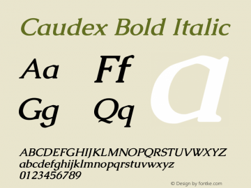 Caudex Bold Italic Version 1.01图片样张