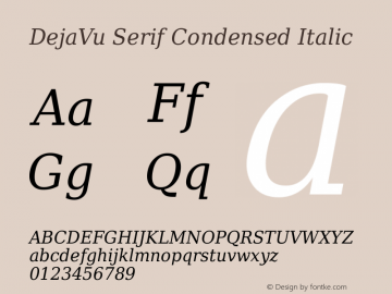 DejaVu Serif Condensed Italic Version 2.35 Font Sample