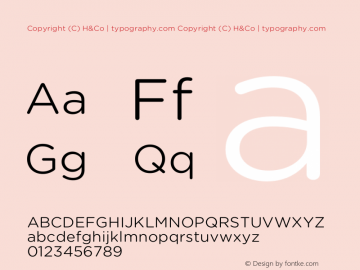 Copyright (C) H&Co | typography.com Version 1.301 Font Sample