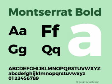 Montserrat Bold Version 3.100;PS 003.100;hotconv 1.0.88;makeotf.lib2.5.64775 Font Sample