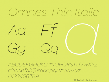 Omnes Thin Italic Version 001.001图片样张