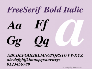FreeSerif Bold Italic Version 0412.2268 Font Sample