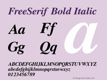 FreeSerif Bold Italic Version 0412.2268图片样张