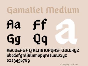 Gamaliel Version 001.000图片样张