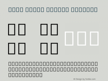 Noto Serif Tangut Regular Version 2.001图片样张