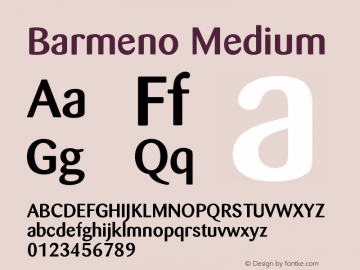 Barmeno Medium Version 001.000图片样张