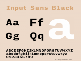 InputSans Black Version 0.000;PS 0.0;hotconv 1.0.72;makeotf.lib2.5.5900; ttfautohint (v0.9) Font Sample