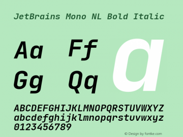 JetBrains Mono NL Bold Italic Version 2.221; ttfautohint (v1.8.3) Font Sample