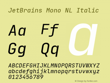 JetBrains Mono NL Italic Version 2.221; ttfautohint (v1.8.3) Font Sample