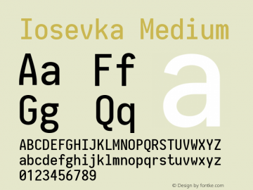 Iosevka Medium 2.3.3; ttfautohint (v1.8.3) Font Sample