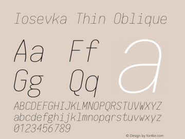 Iosevka Thin Oblique 1.13.4; ttfautohint (v1.7.9-c794) Font Sample