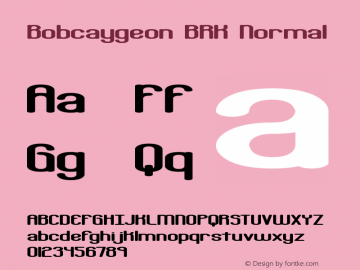 Bobcaygeon BRK Normal Version 1.22图片样张