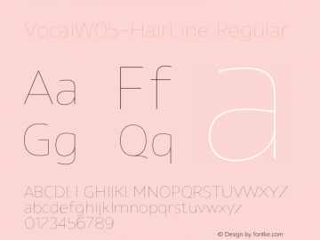 Vocal W05 HairLine Version 1.00 Font Sample