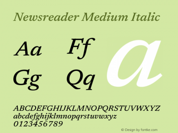 Newsreader Medium Italic Version 1.003图片样张