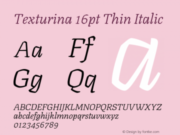 Texturina 16pt Thin Italic Version 1.002图片样张