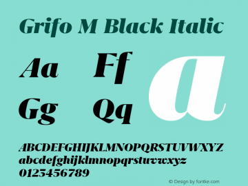 Grifo M Black Italic Version 2.001图片样张