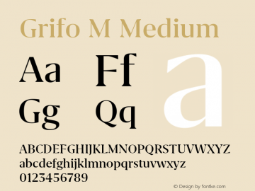 Grifo M Medium Version 2.001图片样张