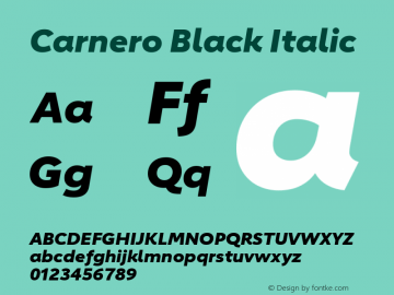 Carnero Black Italic Version 1.10, build 11, s3图片样张