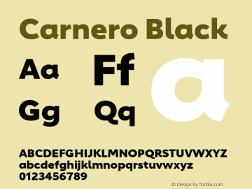 Carnero Black Version 1.10, build 11, s3图片样张