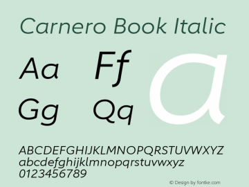 Carnero Book Italic Version 1.10, build 11, s3图片样张