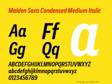 Malden Sans Cond Medium It Version 1.00, build 13, s3图片样张