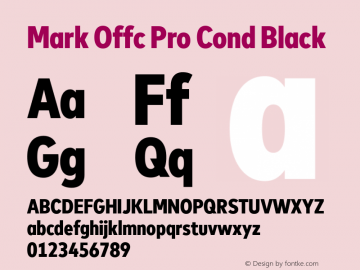 Mark Offc Pro Cond Black Version 7.504; 2015; Build 1021图片样张