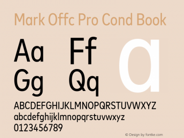 Mark Offc Pro Cond Book Version 7.504; 2015; Build 1021图片样张