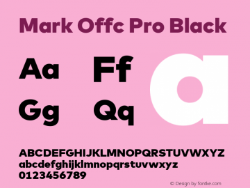 Mark Offc Pro Black Version 7.504; 2013; Build 1022图片样张