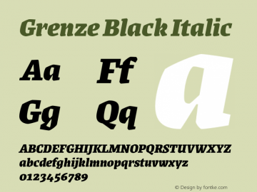 Grenze Black Italic Version 1.002;hotconv 1.0.109;makeotfexe 2.5.65596 Font Sample