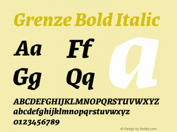 Grenze Bold Italic Version 1.002;hotconv 1.0.109;makeotfexe 2.5.65596 Font Sample