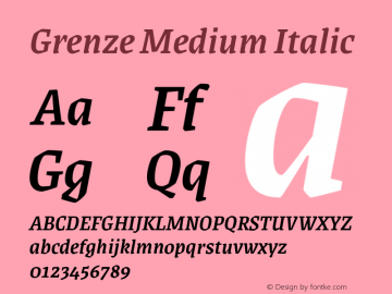 Grenze Medium Italic Version 1.002;hotconv 1.0.109;makeotfexe 2.5.65596 Font Sample