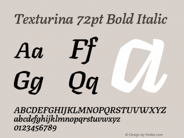 Texturina 72pt Bold Italic Version 1.002; ttfautohint (v1.8.3)图片样张