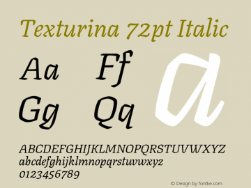 Texturina 72pt Italic Version 1.002 Font Sample