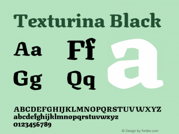 Texturina Black Version 1.002图片样张