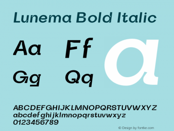 Lunema Bold Italic Version 1.000;FEAKit 1.0 Font Sample