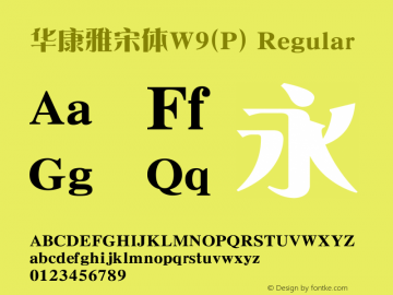 華康雅宋體W9(P) Regular Version 1.00圖片樣張