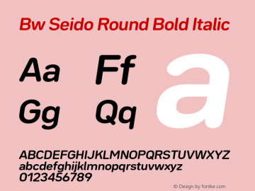 Bw Seido Round Bold Italic Version 1.000;PS 001.000;hotconv 1.0.88;makeotf.lib2.5.64775 Font Sample