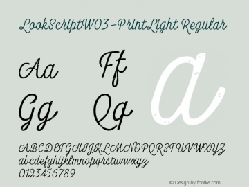 Look Script W03 Print Light Version 1.00 Font Sample