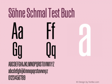 SohneSchmal-BuchTest Version 1.108;hotconv 1.0.116;makeotfexe 2.5.65601;0 Font Sample