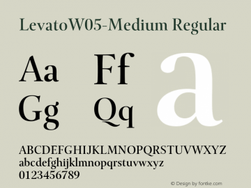 Levato W05 Medium Version 1.00图片样张