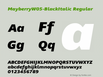 Mayberry W05 Black Italic Version 1.10图片样张