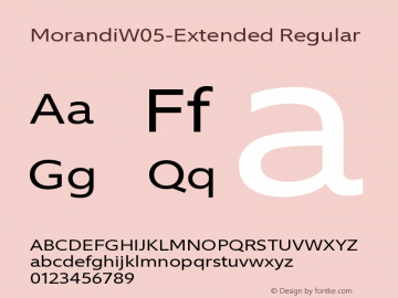 Morandi W05 Extended Version 1.21图片样张