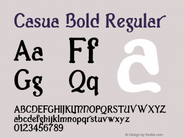 Casua_Bold Regular Version 1.1; 2002图片样张
