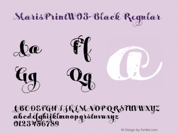 Maris Print W03 Black Version 1.00 Font Sample