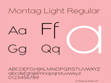 Montag W03 Light Version 1.10图片样张