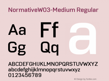 Normative W03 Medium Version 1.00图片样张