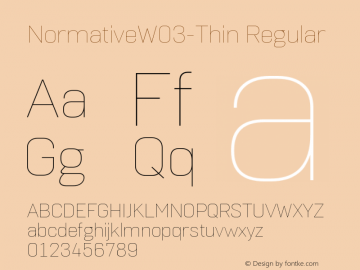 Normative W03 Thin Version 1.00 Font Sample